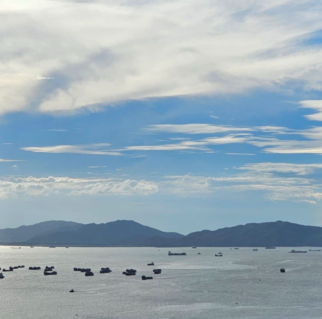 今天是入貨時機了！